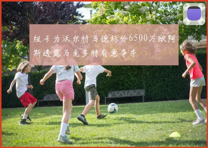 纽卡为沃尔特马德标价6500万欧阿斯透露马竞多特有意争夺