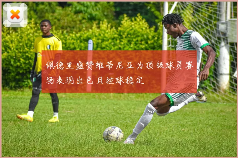 佩德里盛赞维蒂尼亚为顶级球员赛场表现出色且控球稳定
